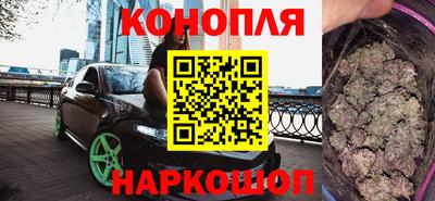 сатива Малгобек