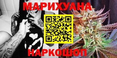 сатива Малгобек