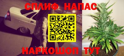 сатива Малгобек