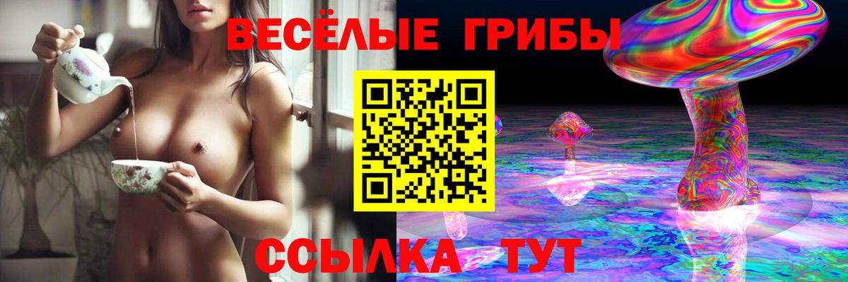 Гурьевск  наркотики  Вход с VPN  Галлюциногенные грибы Psilocybe 