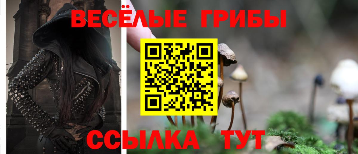 Псилоцибиновые грибы мухоморы Гурьевск